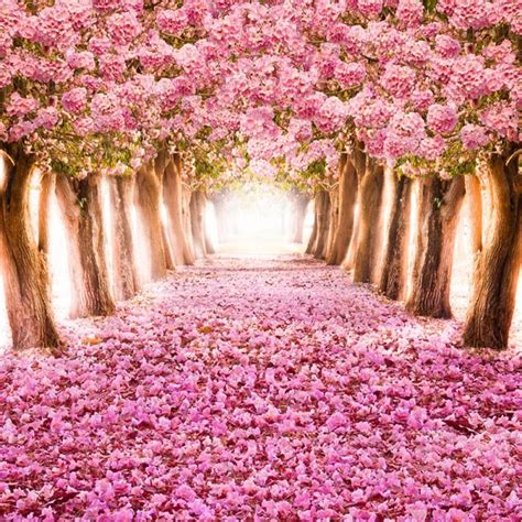 photography backdrops flowers